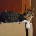 えにちゃん (2).jpg